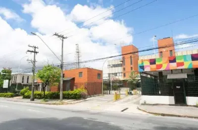 Galpão comercial para locação 40.972 m² alphaville tamboré barueri sp