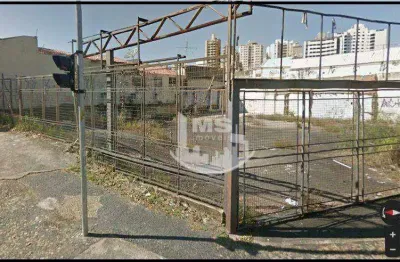Terreno comercial para alugar na Avenida Brasil, Vila Itapura, Campinas