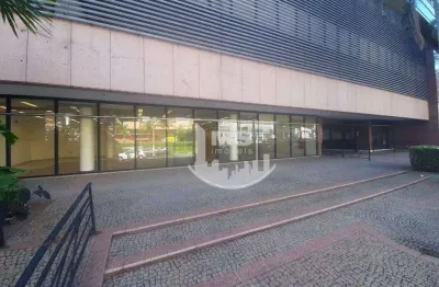 Salão para alugar, 380 m² por r$ 49.150,00/mês - cambuí - campinas/sp