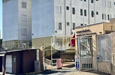 Apartamento com 2 dormitórios à venda, 50 m² por r$ 215.000,00 - vila padre manoel de nóbrega - campinas/sp