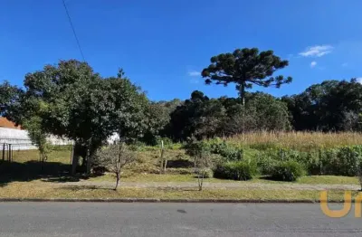 Terreno com área total 7.876,90m², zr-2 - são braz - ref 5802-