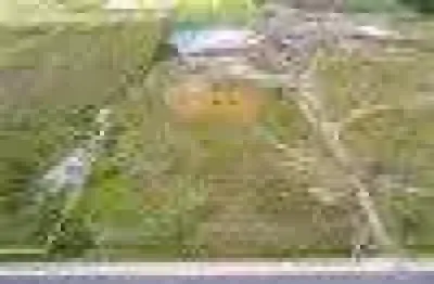 Terreno comercial para alugar na Rua Laerte Fenelon, 1405, Ipê, São José dos Pinhais