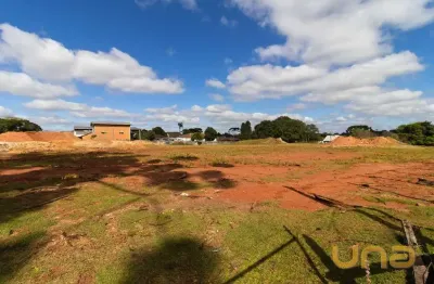 Terreno comercial para alugar na Rua Ângelo Pianaro, 539, Butiatuvinha, Curitiba