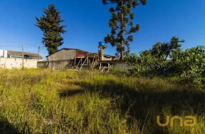 Terreno comercial para alugar na Rua Calixto de Jesus, 327, Tingui, Curitiba