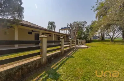 Chácara / sítio com 4 quartos à venda na Rua Caetano Munhoz da Rocha, 3980, Ouro Verde, Campo Largo