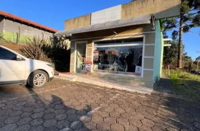 Terreno à venda no bairro cruzeiro em são bento do sul - sc