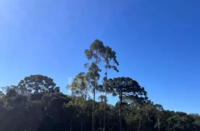 Terreno à venda no bairro lençol, são bento do sul, sc
