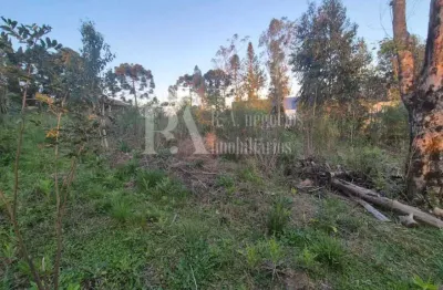 Terreno à venda na Estr. Carlos Schoreder, 800, Alpino, São Bento do Sul