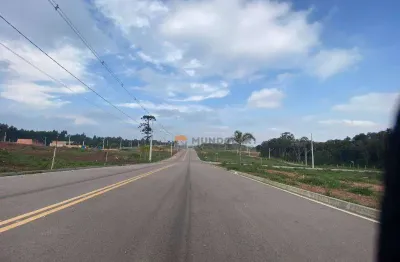 Terreno à venda, 170 m² por r$ 187.594,00 - costeira - araucária/pr
