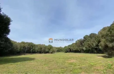 Chácara à venda, 38281 m² por r$ 850.000,00 - contenda - contenda/pr