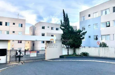 Apartamento com 3 dormitórios para alugar, 59 m² por r$ 2.350,00/mês - centro - araucária/pr