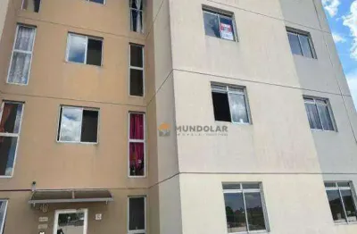 Apartamento com 2 dormitórios à venda, 43 m² por r$ 200.000,00 - campina da barra - araucária/pr