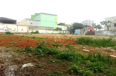 Terreno para venda em santo andré, vila homero thon
