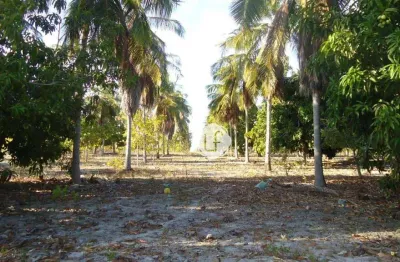 Terreno à venda na Ce-040, Sucatinga, Beberibe