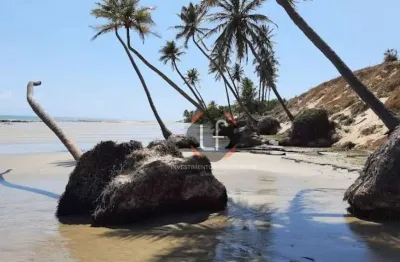 Terreno à venda na praia de caetanos de baixo – amontada/ce | 405,24 m² | ideal para casa de veraneio!