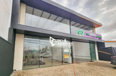 Barracão para alugar, 110 m² por R$ 6.000/mês - Aragarça - Londrina/PR