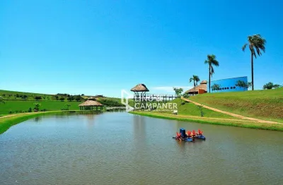 Terreno à venda, 3373 m² por r$ 750.000,00 - ecovillas do lago - sertanópolis/pr