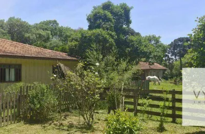Chácara / sítio com 2 quartos à venda na Rua ÁGua Amarela De Baixo, 1, Água Amarela, Antônio Olinto
