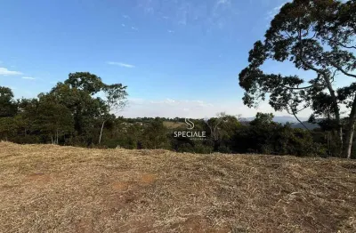 Terreno à venda, 3000 m² por r$ 450.000,00 - villagio da serra - juiz de fora/mg