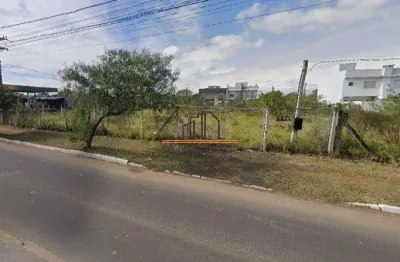 Terreno comercial para alugar na Avenida Açucena, 2071, Estância Velha, Canoas