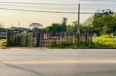 Terreno comercial para aluguel em sapucaia do sul, bairro pasqualini