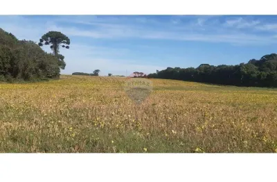 Terreno comercial à venda na Rua Arcidio Claudino Barbosa, s/nr, Campo Largo da Roseira, São José dos Pinhais