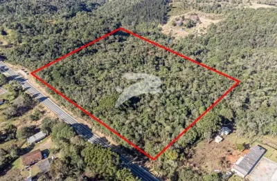 Terreno à venda na estra da ribeira br-476, 17193, imbuial, colombo, 70898 m2 por r$ 1.549.000