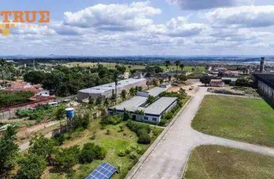 Galpão à venda, 10000 m² - santo antônio - carpina/pe