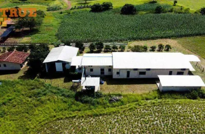 Fazenda com 1 sala à venda na Zona Rural, Passira 