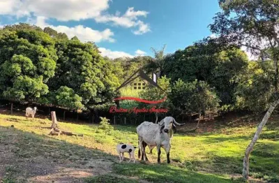 Fazenda para venda - 110 hectares - senador mourão (diamantina)/mg