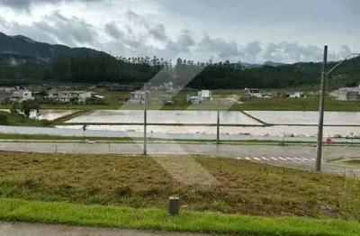 Terreno comercial à venda na Rua Benjamin Dagnoni, 3752, Rio do Meio, Itajaí