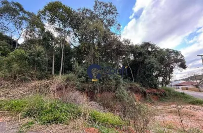 Terreno à venda, 440 m² por r$ 185.000 - vila mandirituba - mandirituba/pr