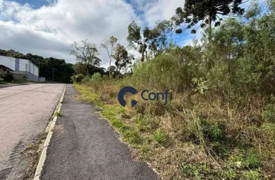 Terreno à venda, 490 m² por r$ 290.000 - jardim mata verde - mandirituba/pr