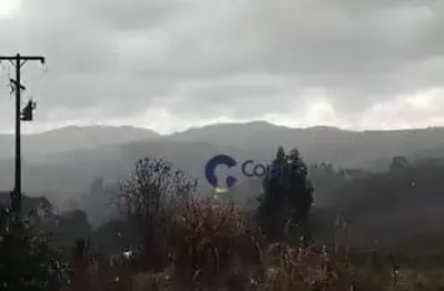 Chácara com 2 dormitórios à venda, 58524 m² por r$ 900.000,00 - espigão das antas - mandirituba/pr