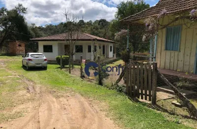 Chácara à venda, 8172 m² por r$ 1.200.000,00 - lagoa dos ferreiras - mandirituba/pr