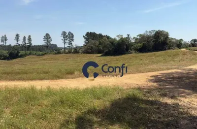 Terreno à venda, 301778 m² por r$ 4.525.500 (r$ 15,00/m²) - zona rural - mandirituba/pr