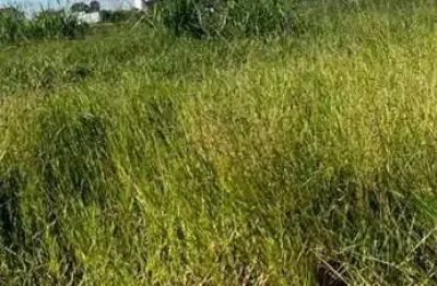Terreno à venda, 200 m² por r$ 120.000,00 - maisparque rio preto - são josé do rio preto/sp
