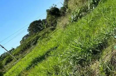 Terreno à venda, 216 m² por r$ 60.000,00 - avenida parque - bady bassitt/sp