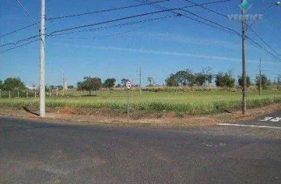 Terreno para alugar, 1800 m² por r$ 20.000,00/mês - jardim moysés miguel haddad - são josé do rio preto/sp