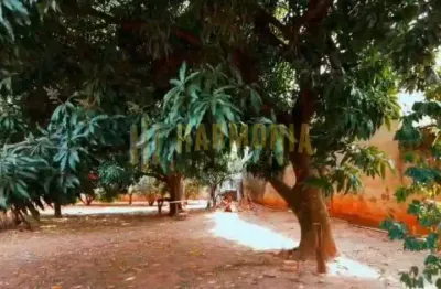 Terreno à venda na Vila José Bonifácio, Araraquara 