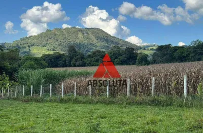 Sítio à venda, 60500 m² por r$ 750.000,00 - bocaina - caldas/mg