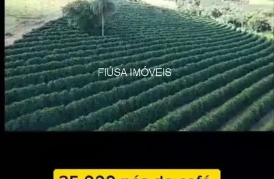 Chácara / sítio com 2 quartos à venda na r, zona rural, cristais paulista por r$ 2.600.000
