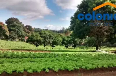 Chácara / sítio com 3 quartos à venda no Pinhal, Cabreúva 