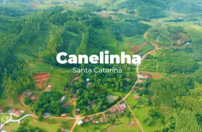 Sitio com 13,5 hectares com produção de plantas medicinais em canelinha sc