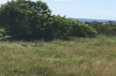 Terreno à venda no Campeche, Florianópolis 