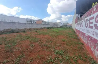 Terreno comercial, plano, murado e com portão, ótimo ponto comercial