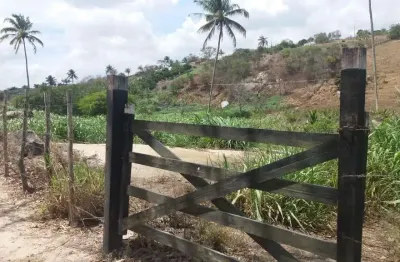 Sítio para venda em chã grande, zona rural, 4 dormitórios, 1 suíte, 3 banheiros
