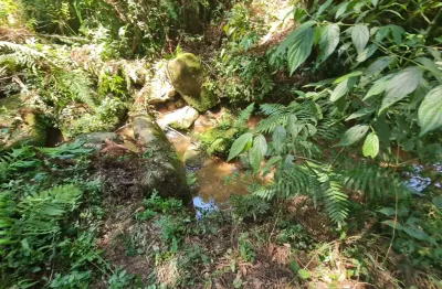 Parque embu colombo excelente terreno mini chacara e com ótimo preço