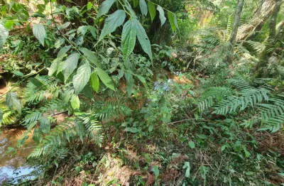 Excelente terreno mini chacara e com ótimo preço no embu colombo