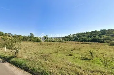 Terreno à venda na das Espatódias, Floresta Escura, São Pedro, 5271 m2 por R$ 250.000